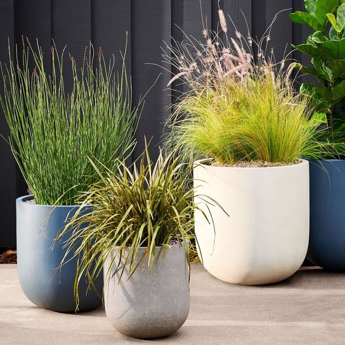 Decor | fym.ae Radius Ficonstone Indoor/Outdoor Succulent Bowls
